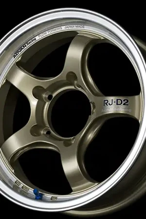 Clearance Advan RG-D2 16x6.5 / +45 Offset / 4x100 / 63mm Bore / Machining and Champagne Gold