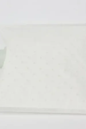 Walbro Fuel Filter Sock Order Now