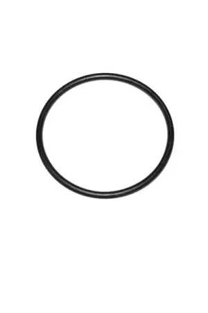 Editor’s Pick Omix Fuel Sending Unit O-Ring Gasket 70-86 Jeep CJ