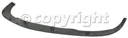 FRONT BUMPER MOLDING Price Drop