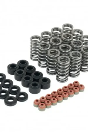 Skunk2 Racing Skunk2 Honda L15B7 Ultra Valve Springs and Spring Base Kit Low Price